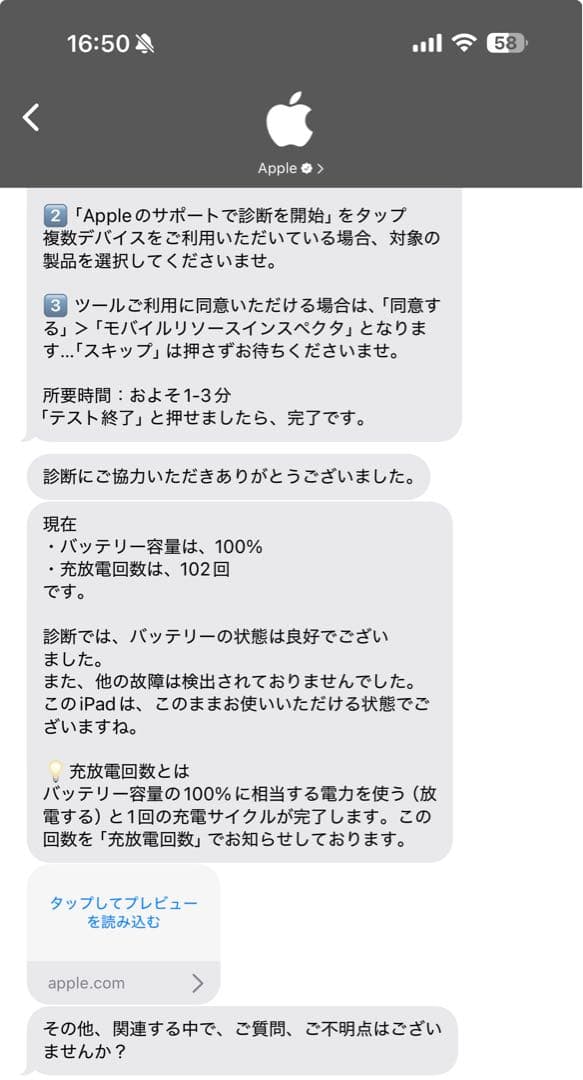 iPad mini(第6世代)256GB Cellularバッテリー容量100%