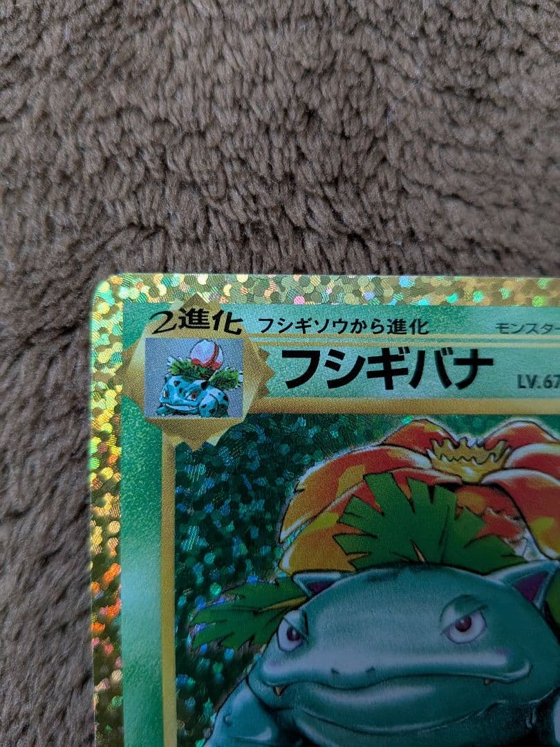 ブラッキー フシギバナ 25th ANNIVERSARY