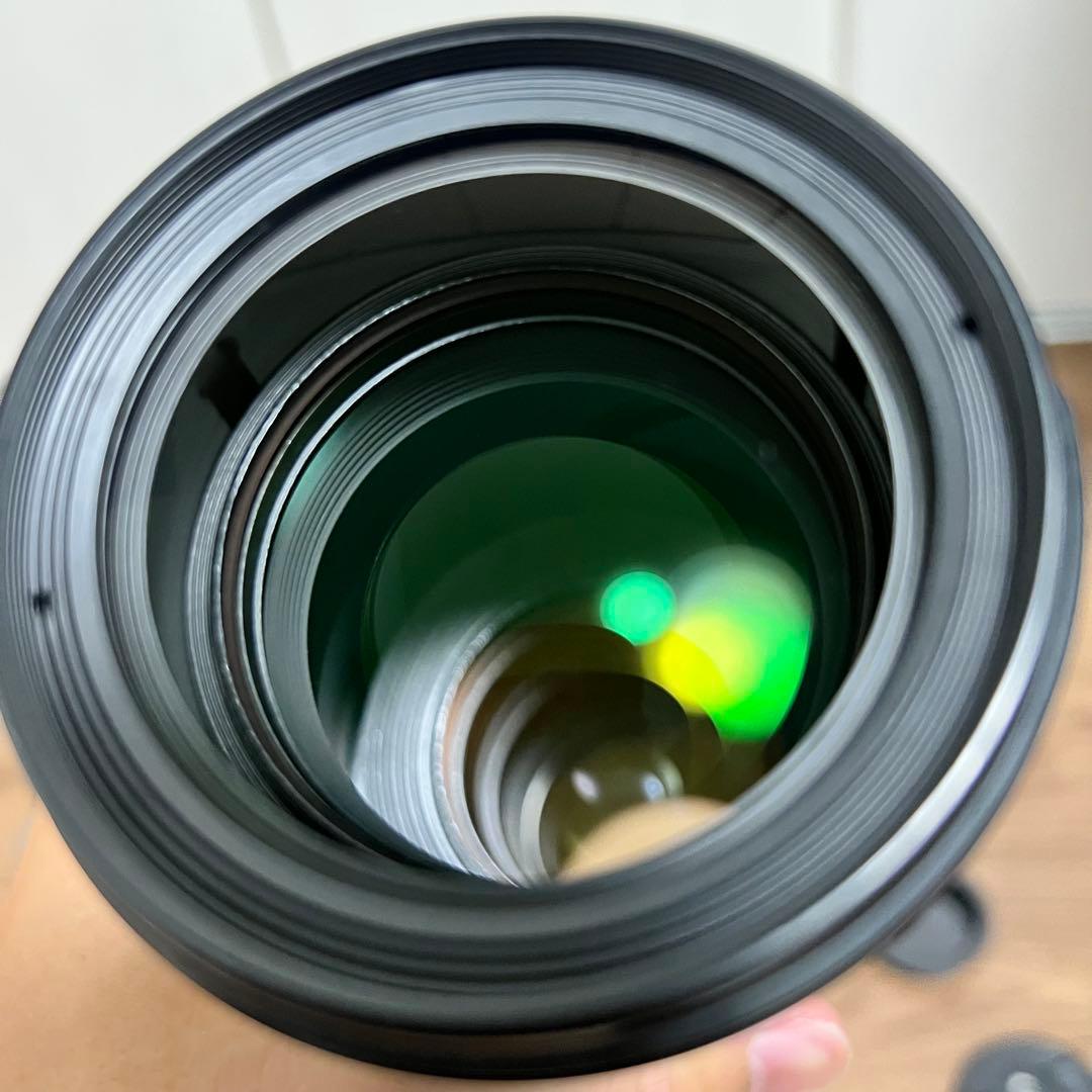 くま　CANON EF70-200mm F4L IS USM　キヤノン