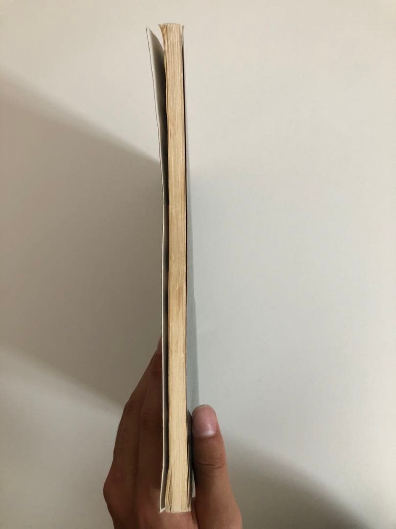 【希少】BADLANDS バッドランズ バンドスコア