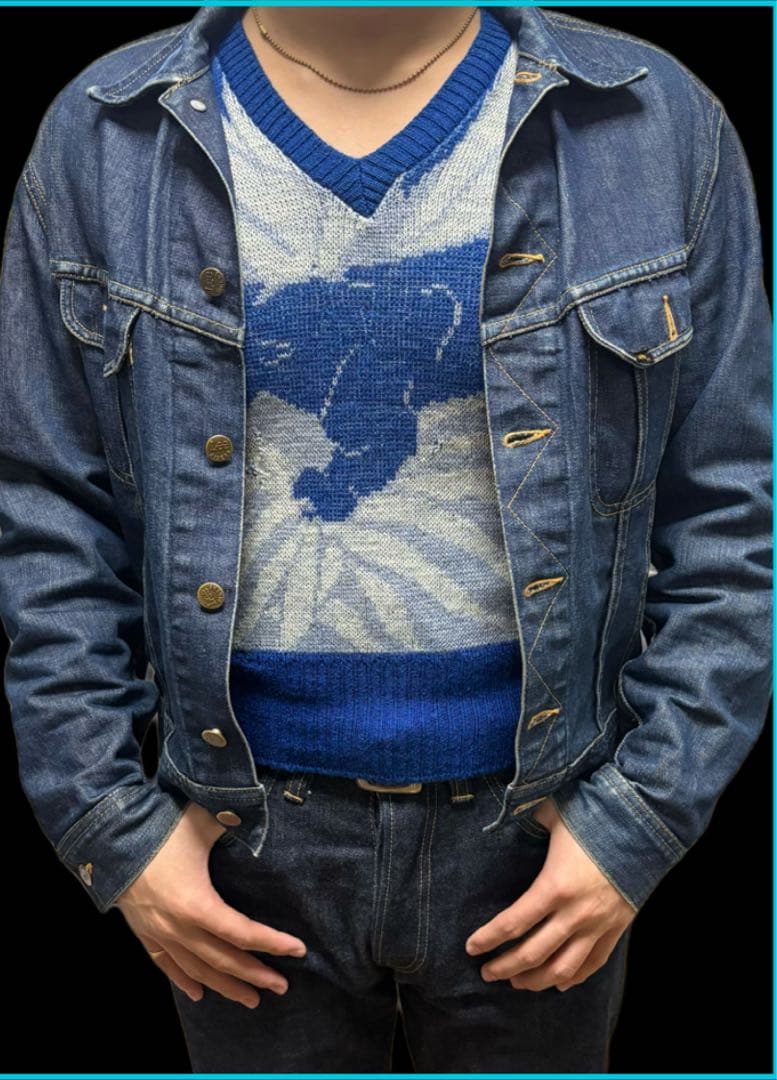 無*ー様 50s ジャガードニット　パンサー　オンブック　青　スペシャル