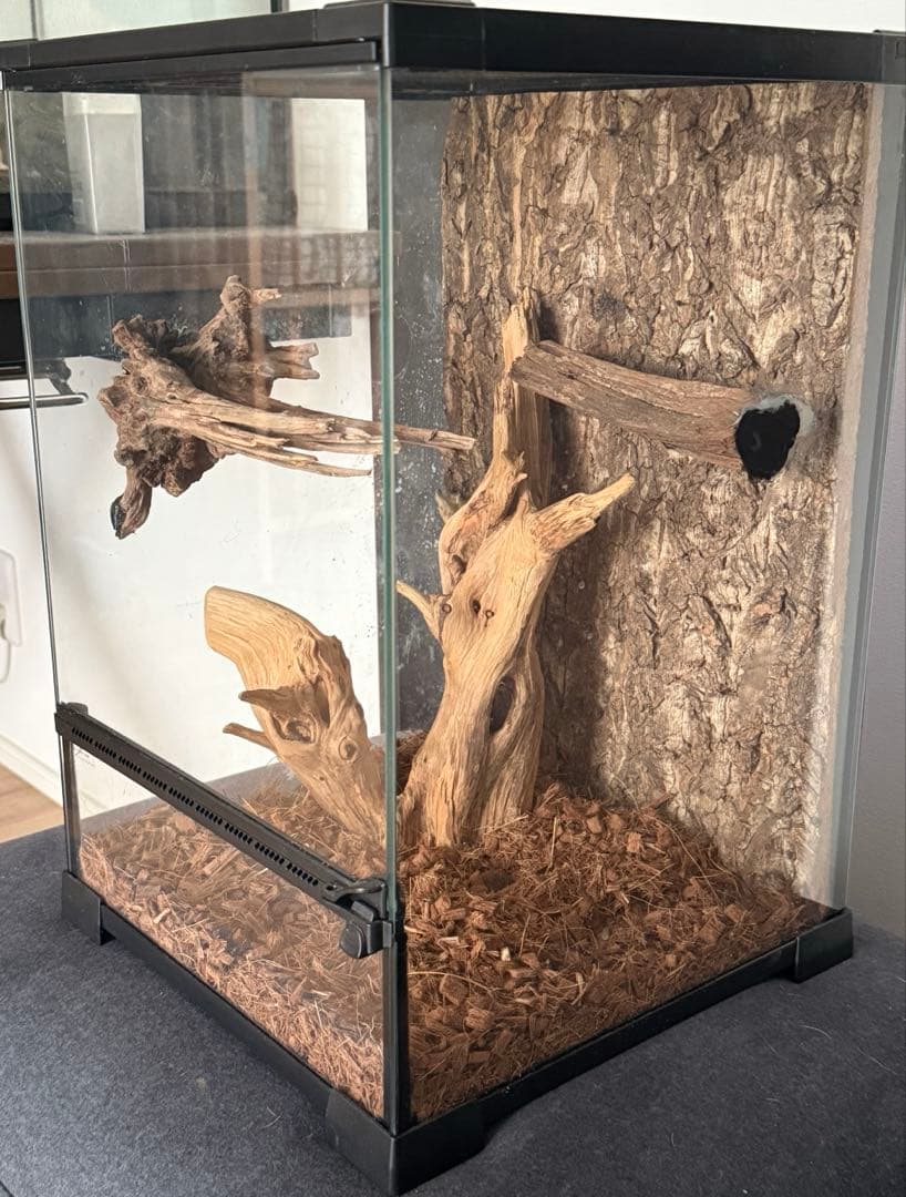 30×30×45中型ガラスケージ 自然な木のレイアウト付