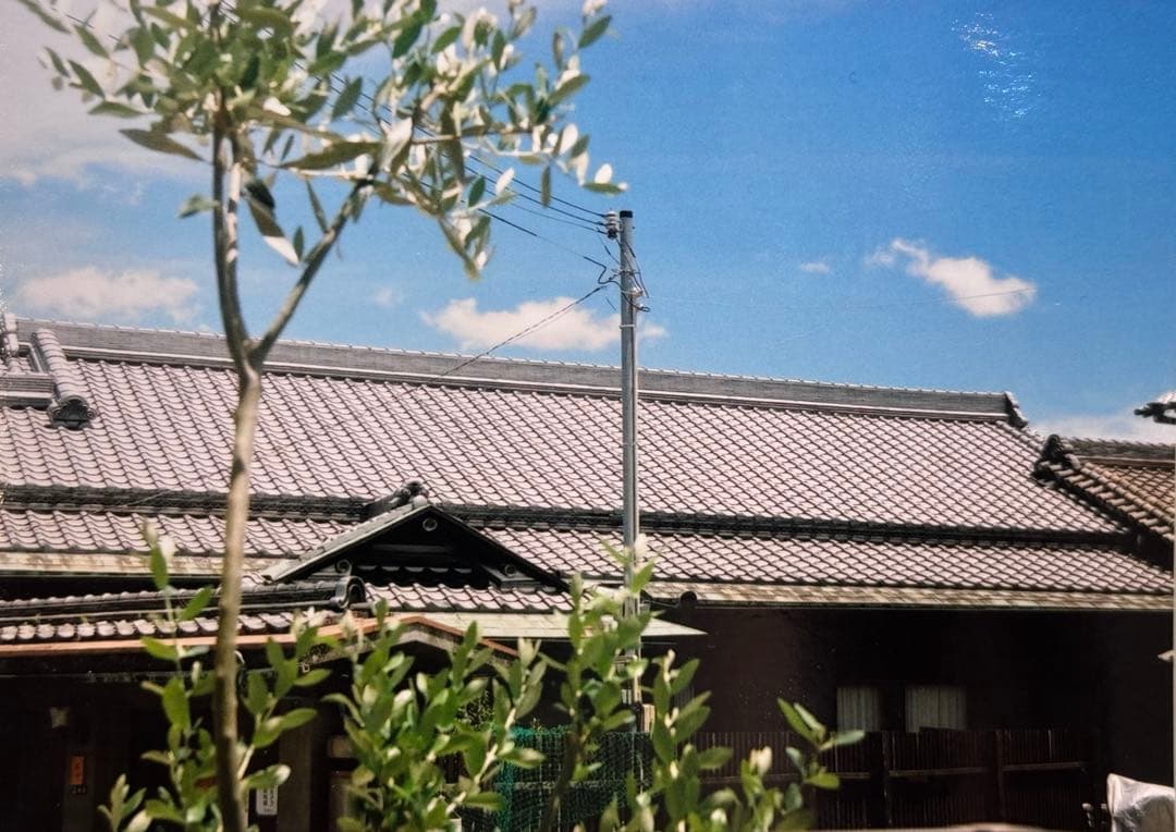 【美品】 Canon AE-1 / FD 50mm 1:1.8