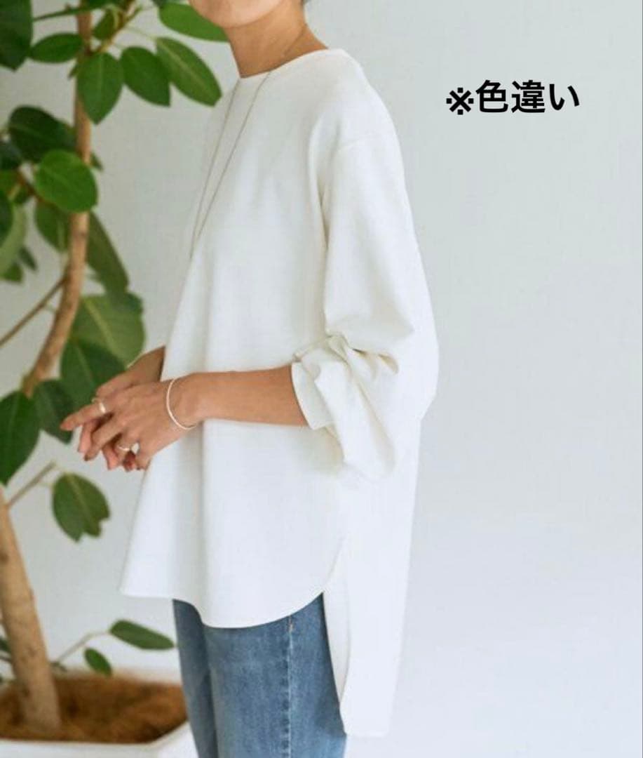 ✨極美品✨BEARDSLEY ビアズリー Tブラウス ブラック FREE