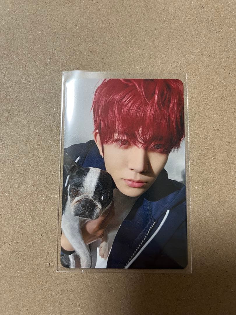 ENHYPEN アンケートトレカ ヒスン