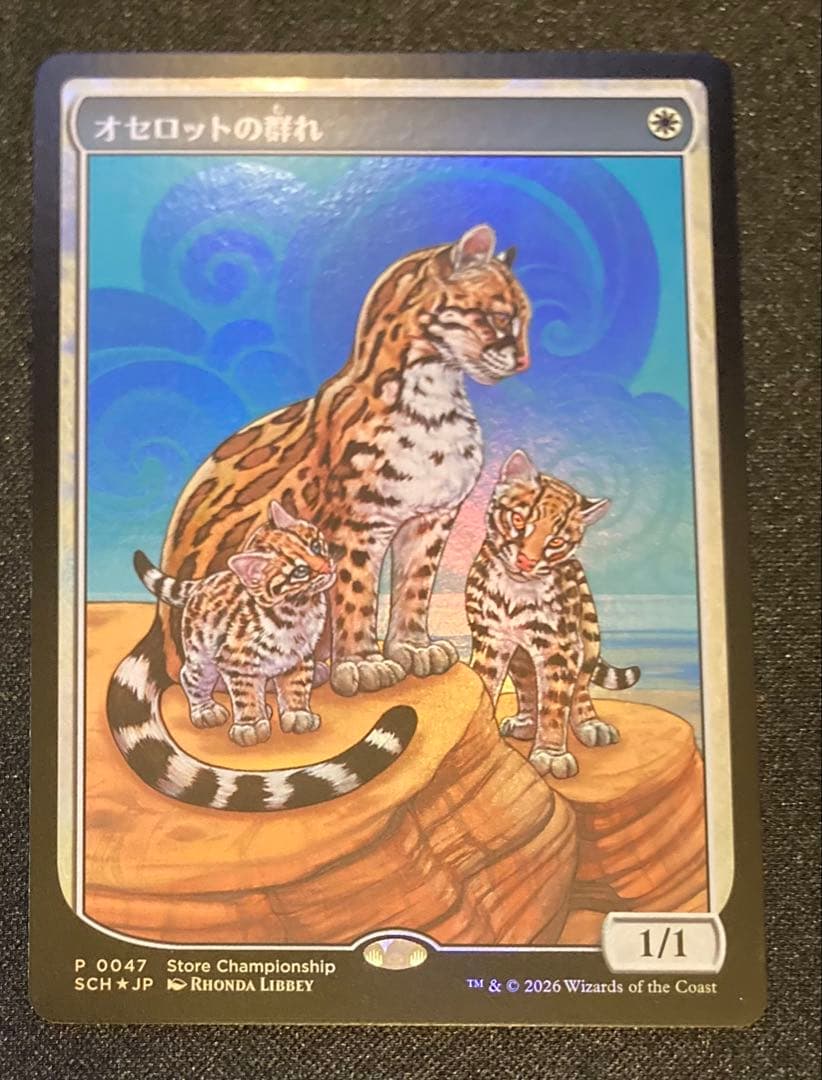 MTG オセロットの群れ　ストアチャンピオンシップ　プロモ Foil 3枚セット