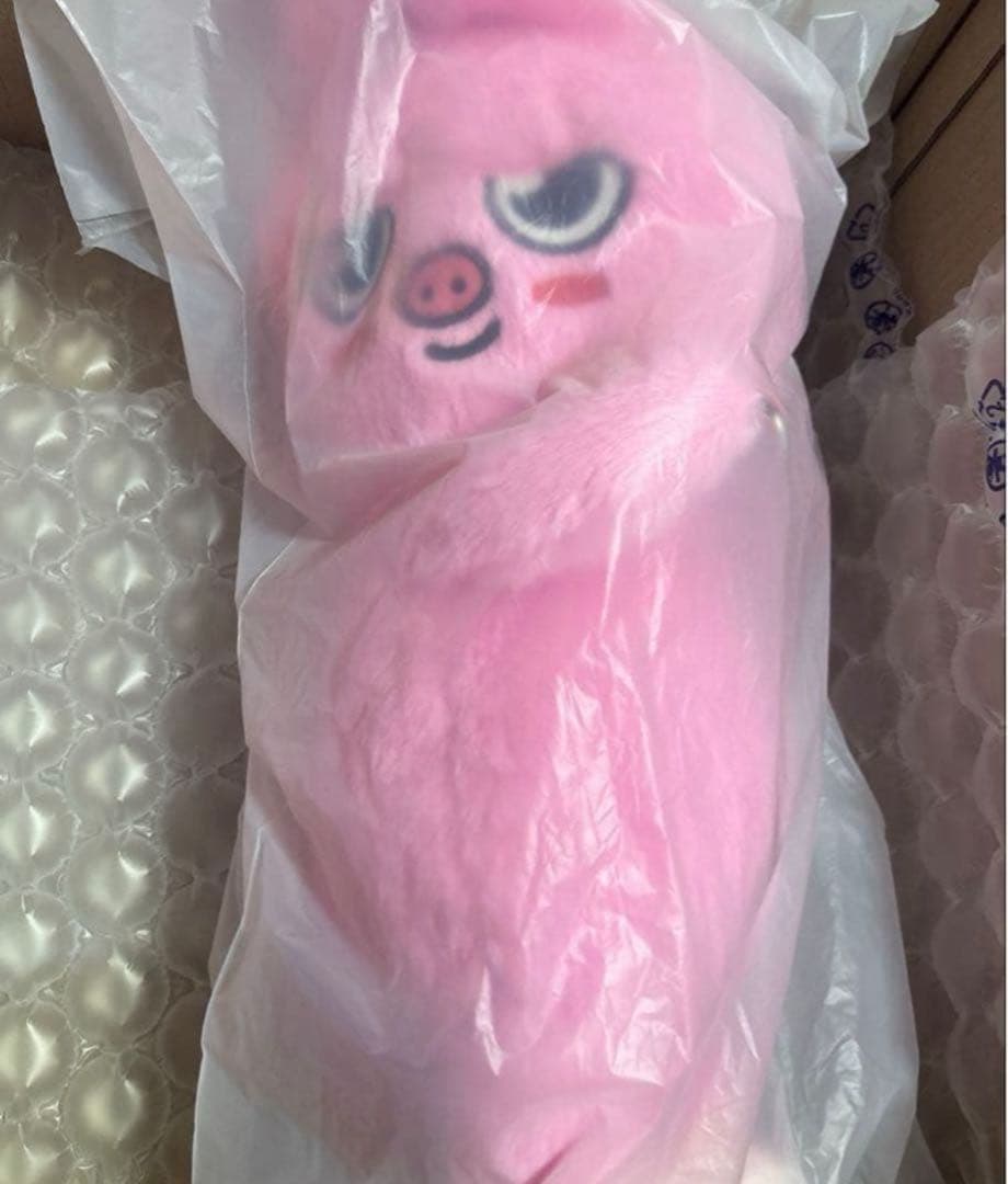 straykids SKZOO PLUSH BAG DWAEKKI 新品未開封