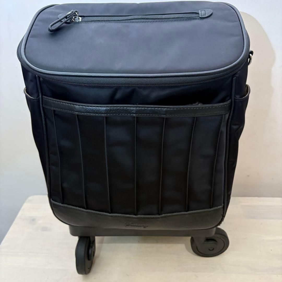 スワニー　ショッピングキャリー　22年製　美品　d 550 M21