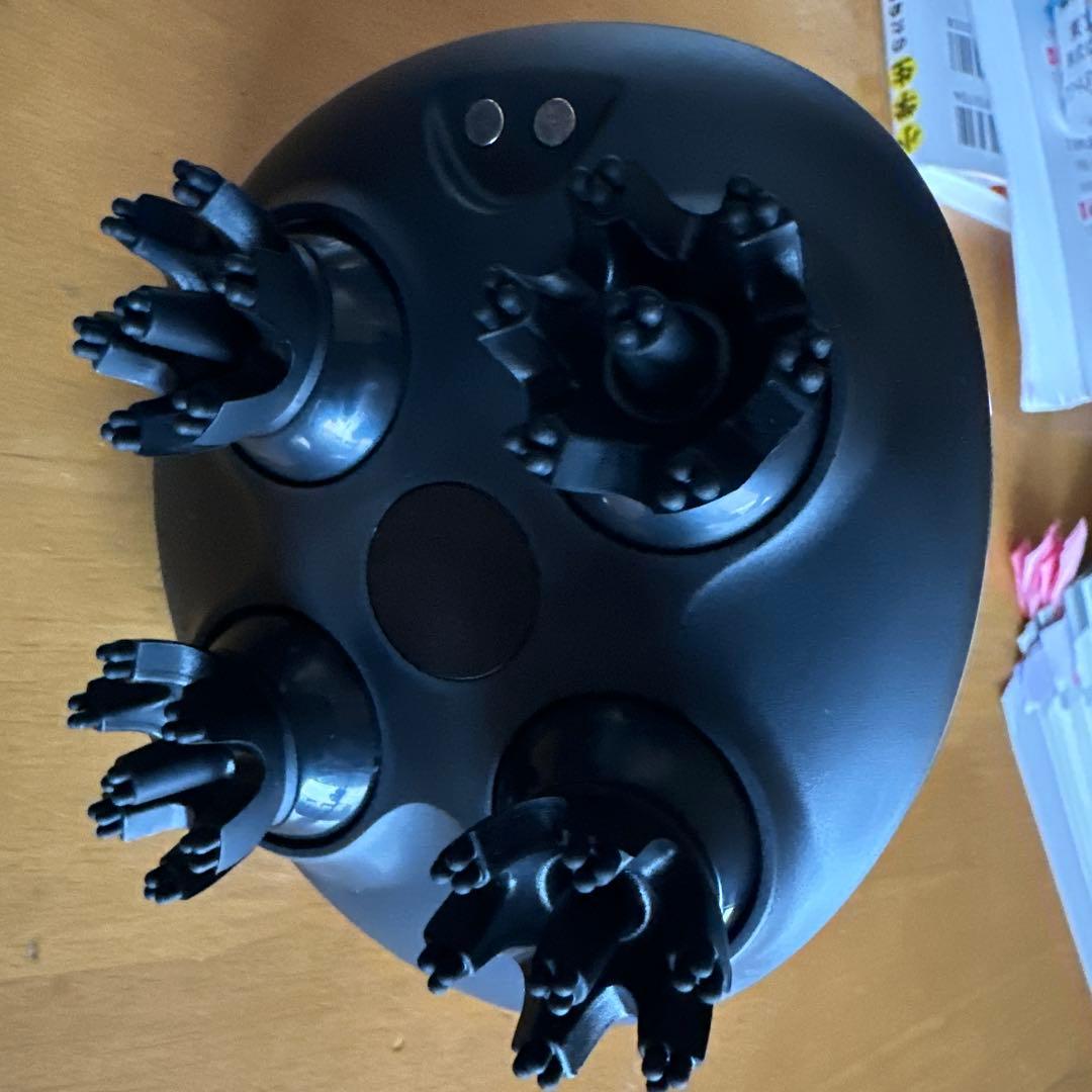 NIPLUX 美顔器 ブラック 卵型