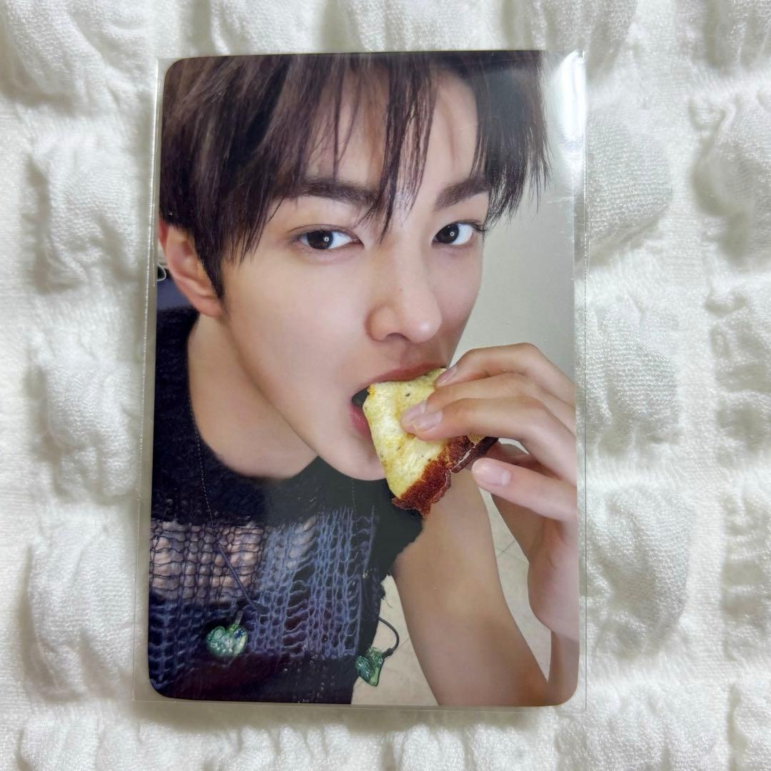 cortis weverse jp 先着　ラキドロ　トレカ　ゴンホ　ゴノ