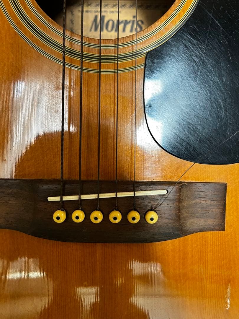 モーリス　フォークギター　W-15