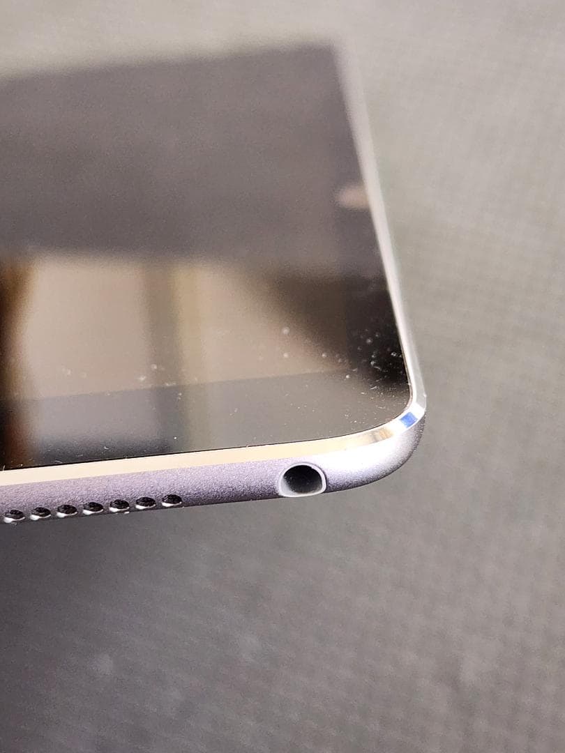 iPad Pro 10.5インチ 256GB SIMフリー A1709