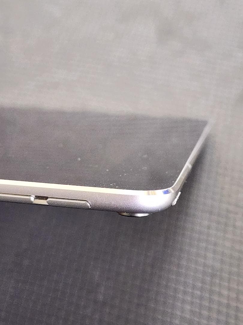 iPad Pro 10.5インチ 256GB SIMフリー A1709