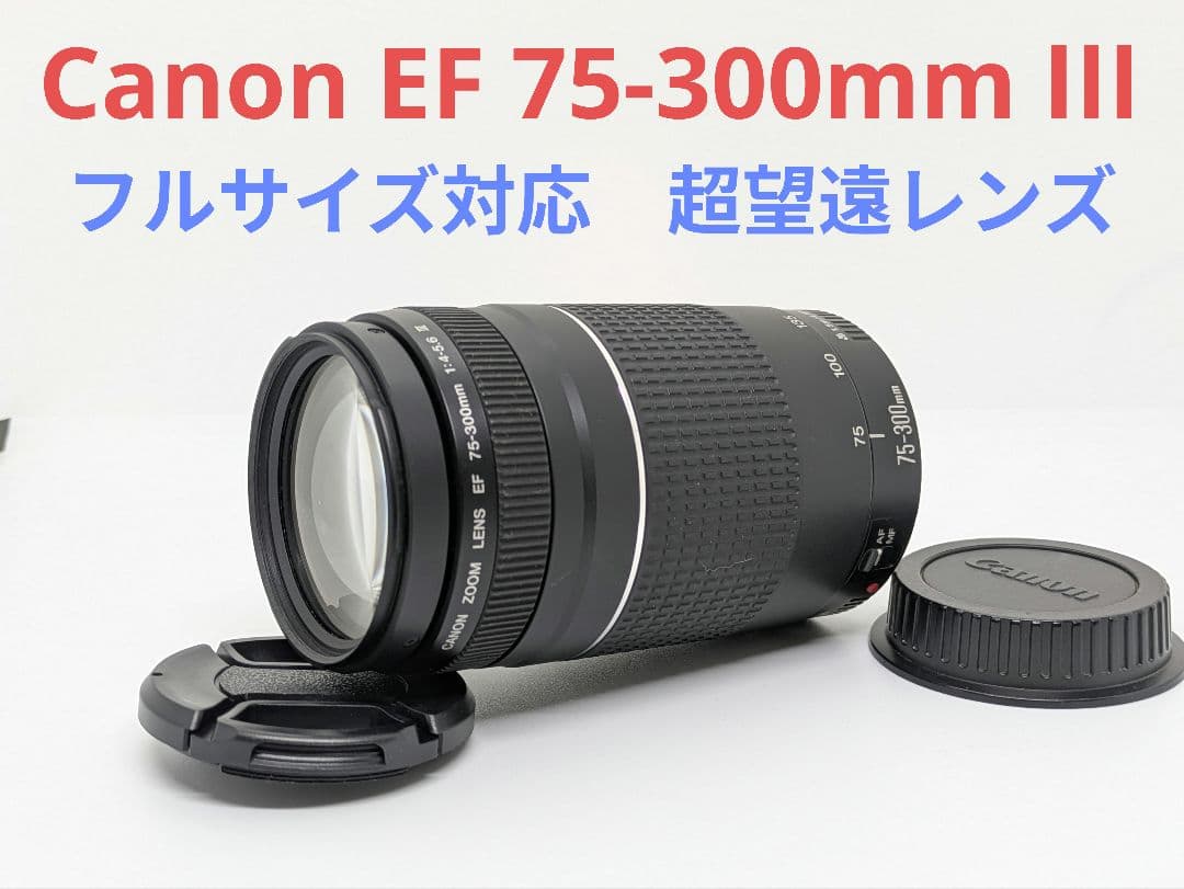 1月23日限定特別販売【超望遠レンズ】Canon EF 75-300mm Ⅲ