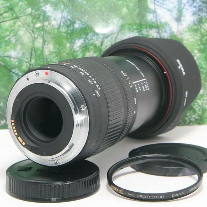 ❤近くから遠くまでこれ１本☆シグマ 18-200mm DC キャノン用❤