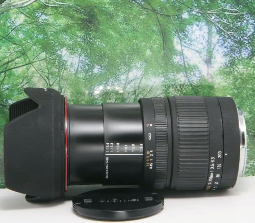 ❤近くから遠くまでこれ１本☆シグマ 18-200mm DC キャノン用❤