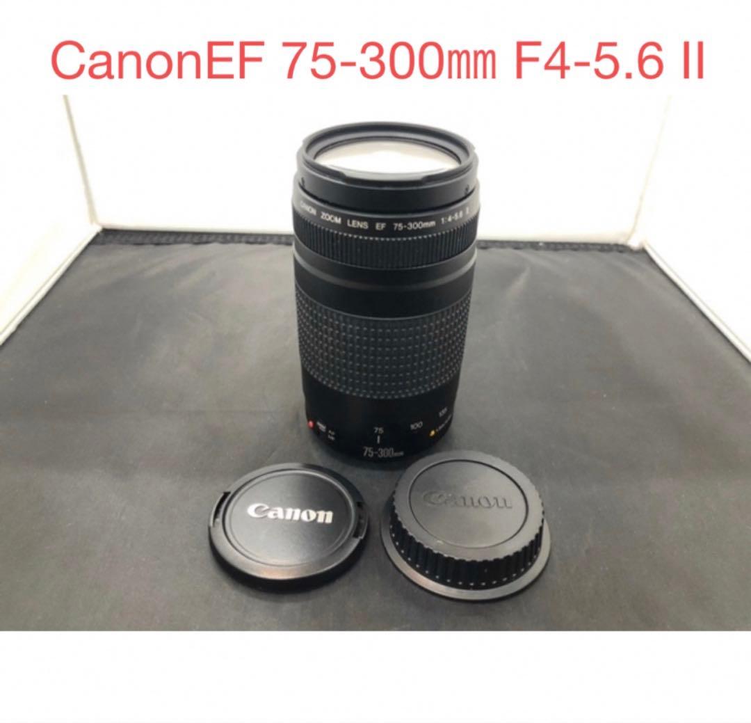 キャノン☆動作品☆CANON EF 75-300mm F4-5.6 II