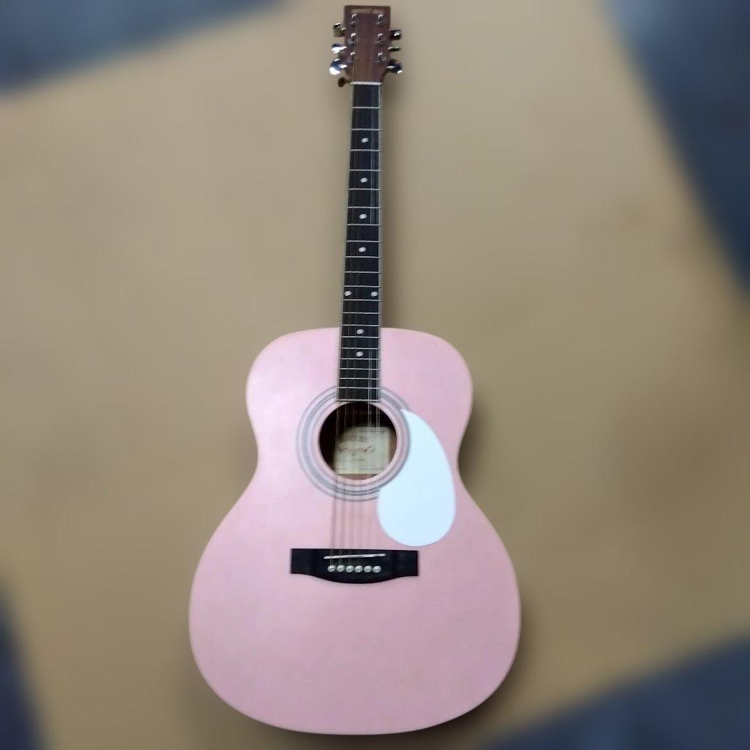 ③HONEY BEE アコースティックギター F-15 SKR ハニービー