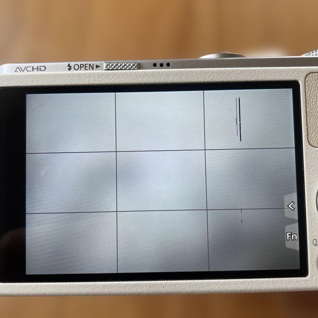 デジタルカメラ LUMIX DMC-GM1