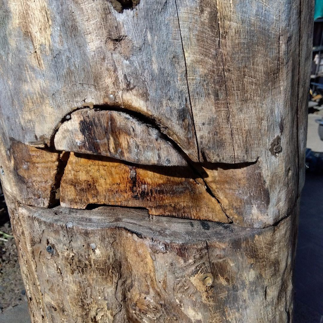 天然木製(桐材)円筒形採集道具 桐 丸洞 みつばち捕獲兼用飼育箱