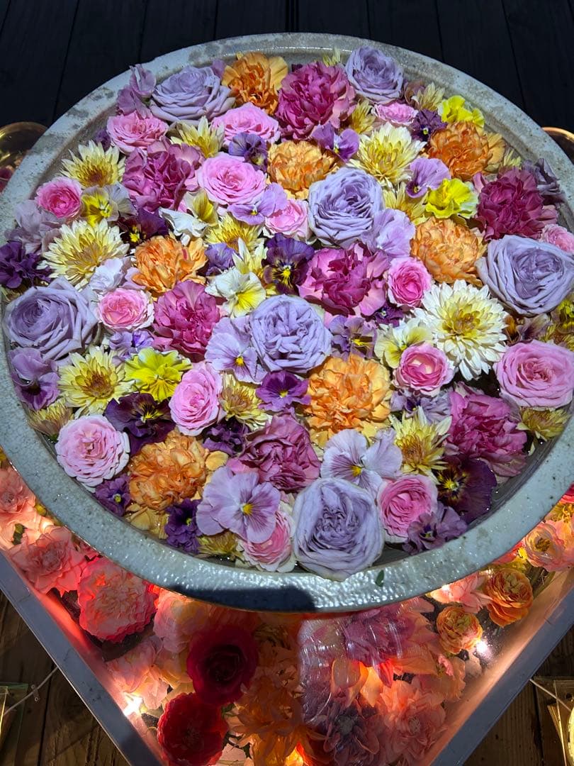 ぬいぐるみ・マスコット IROIHS