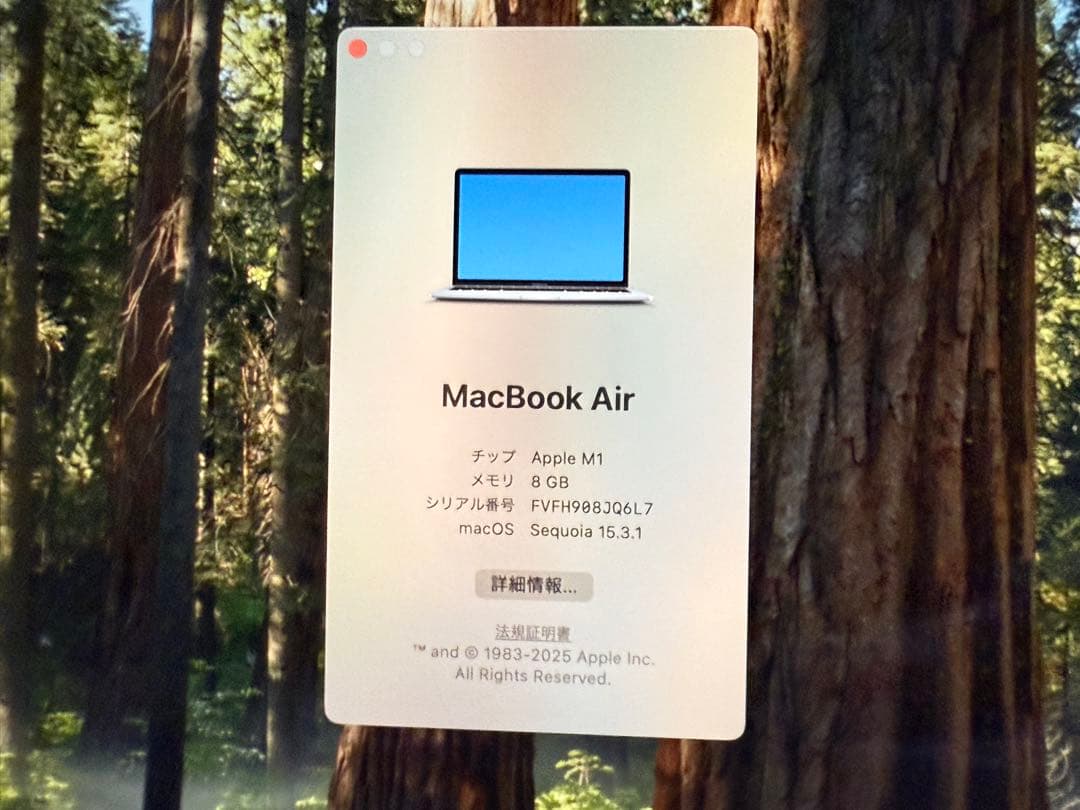 MacBook Air 13インチ M1チップ
