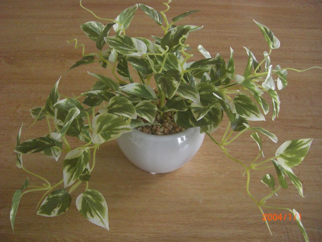 【✨平成レトロ✨】CASIO EXILIM EX-Z700 コンデジ シルバー