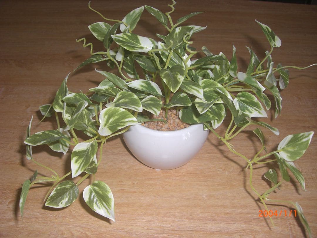 【✨平成レトロ✨】CASIO EXILIM EX-Z700 コンデジ シルバー