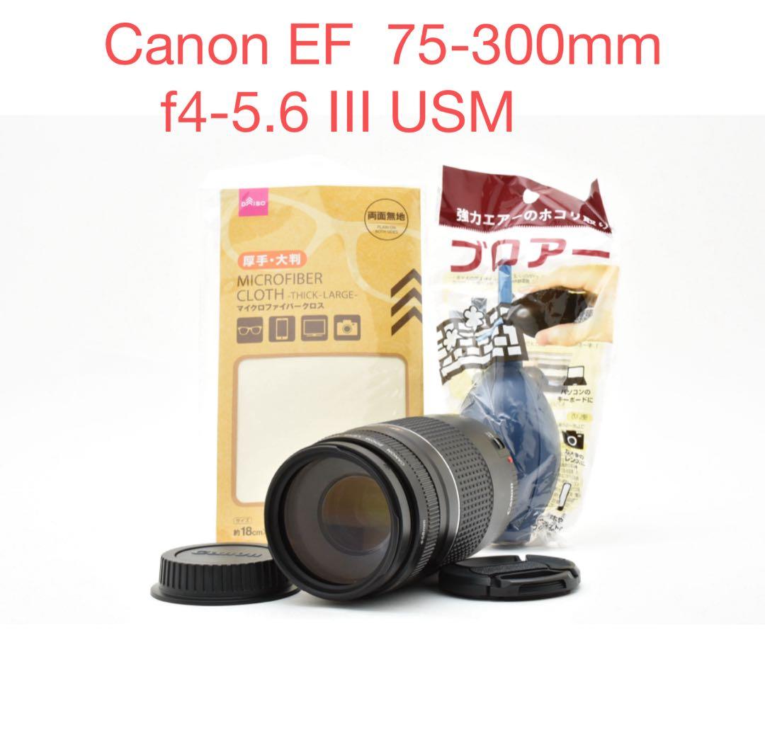 Canon EF 75-300mm f4-5.6 Ⅲ USM