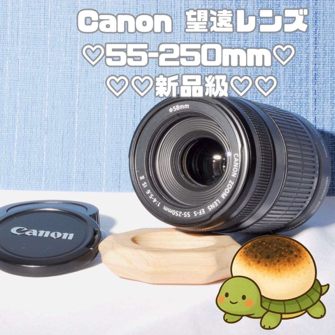 ⭐️超美品‼⭐️ キャノン EF-S 55-250mm 4-5.6 ISⅡ