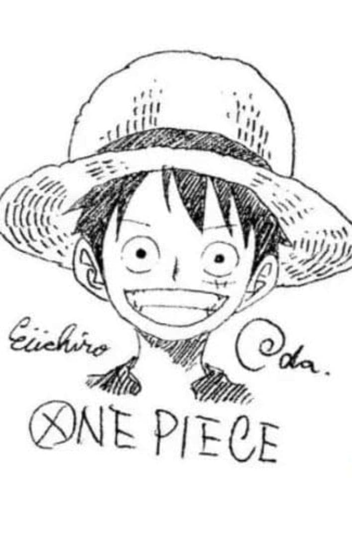 美品　ONE PIECE ルフィ ステッカー 2022