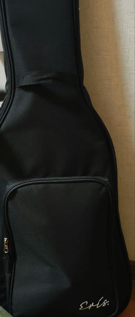 パ*オ様 エレキギター