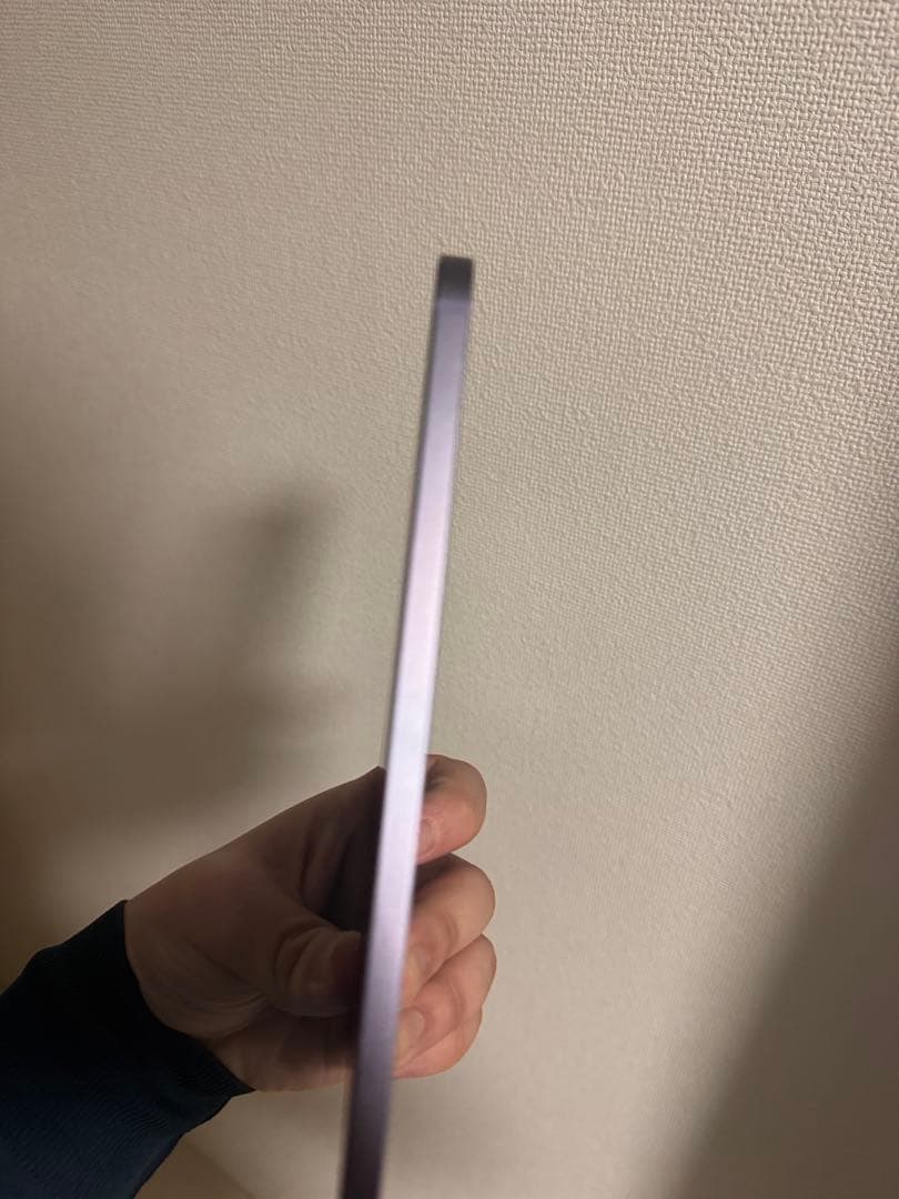iPad mini 6世代 64GB Cellular AppleCare+