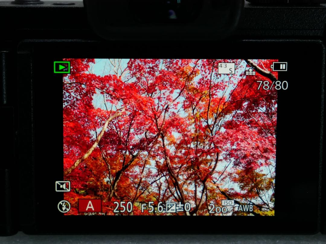 ★★美品・完動品★パナソニックLUMIX DC-G100とレンズ２本付★★