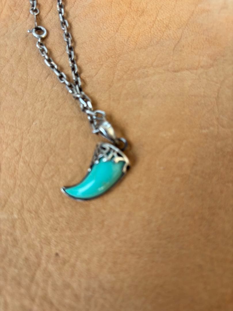 ターコイズと牙型ネックレス.シルバー