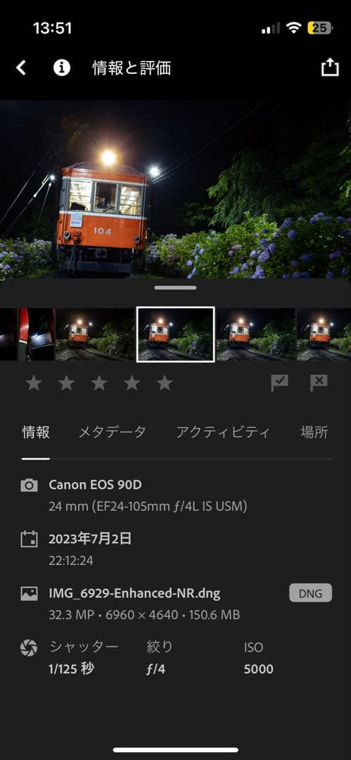 Canon EF 24-105mm f/4 L IS USM 動作確認済・作例有