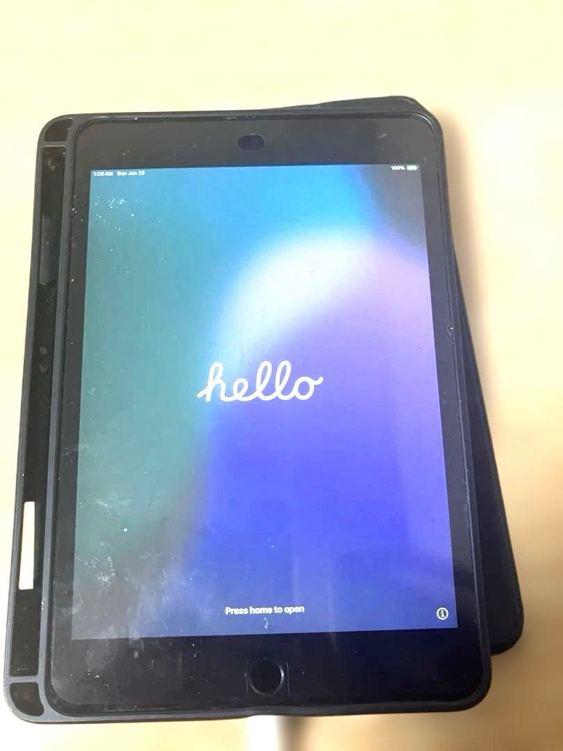 ろ*ー様 【訳あり】Apple iPad mini (第5世代) 256GB