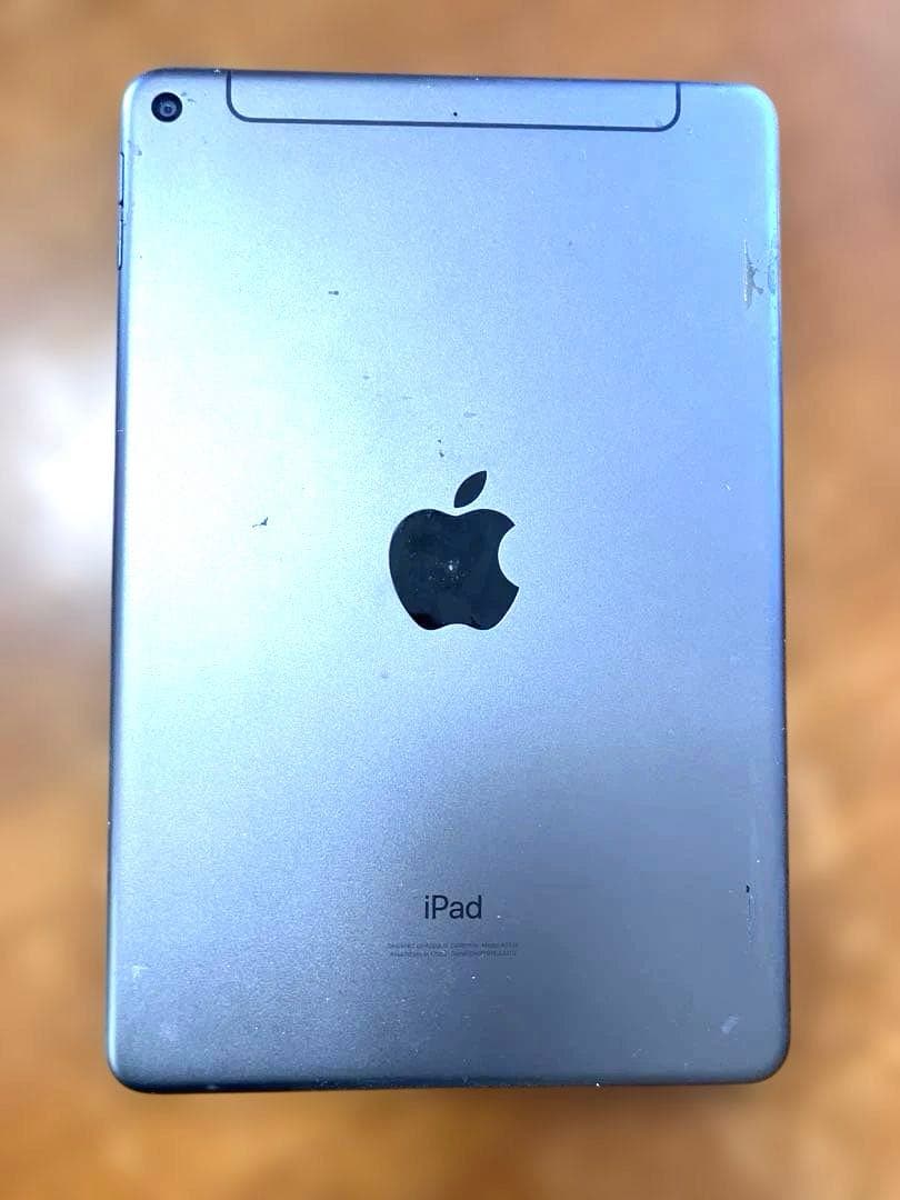 ろ*ー様 【訳あり】Apple iPad mini (第5世代) 256GB