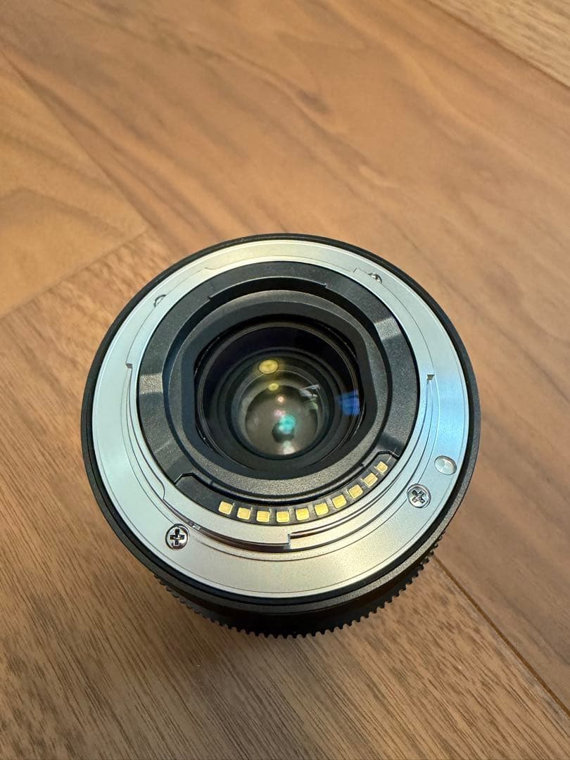 SONY SEL2070G SEL40F25G ２本セット