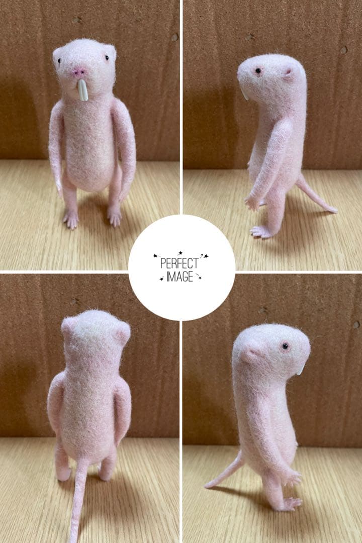 ゆ*き様 羊毛フェルトのハダカデバネズミ