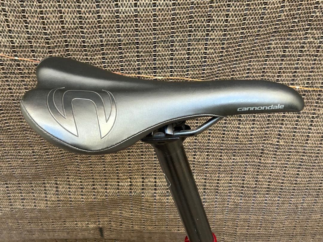 Cannondale フーリガン3 ミニベロ 20インチ 室内保管