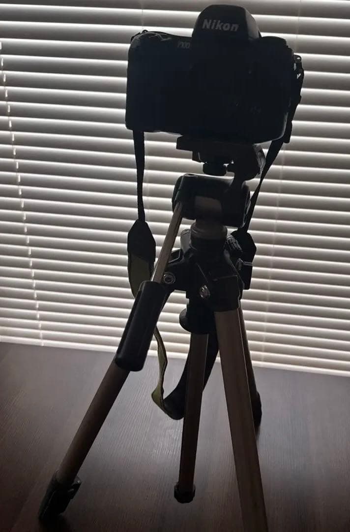 【限定値下】Nikon F100 フィルム一眼レフカメラ