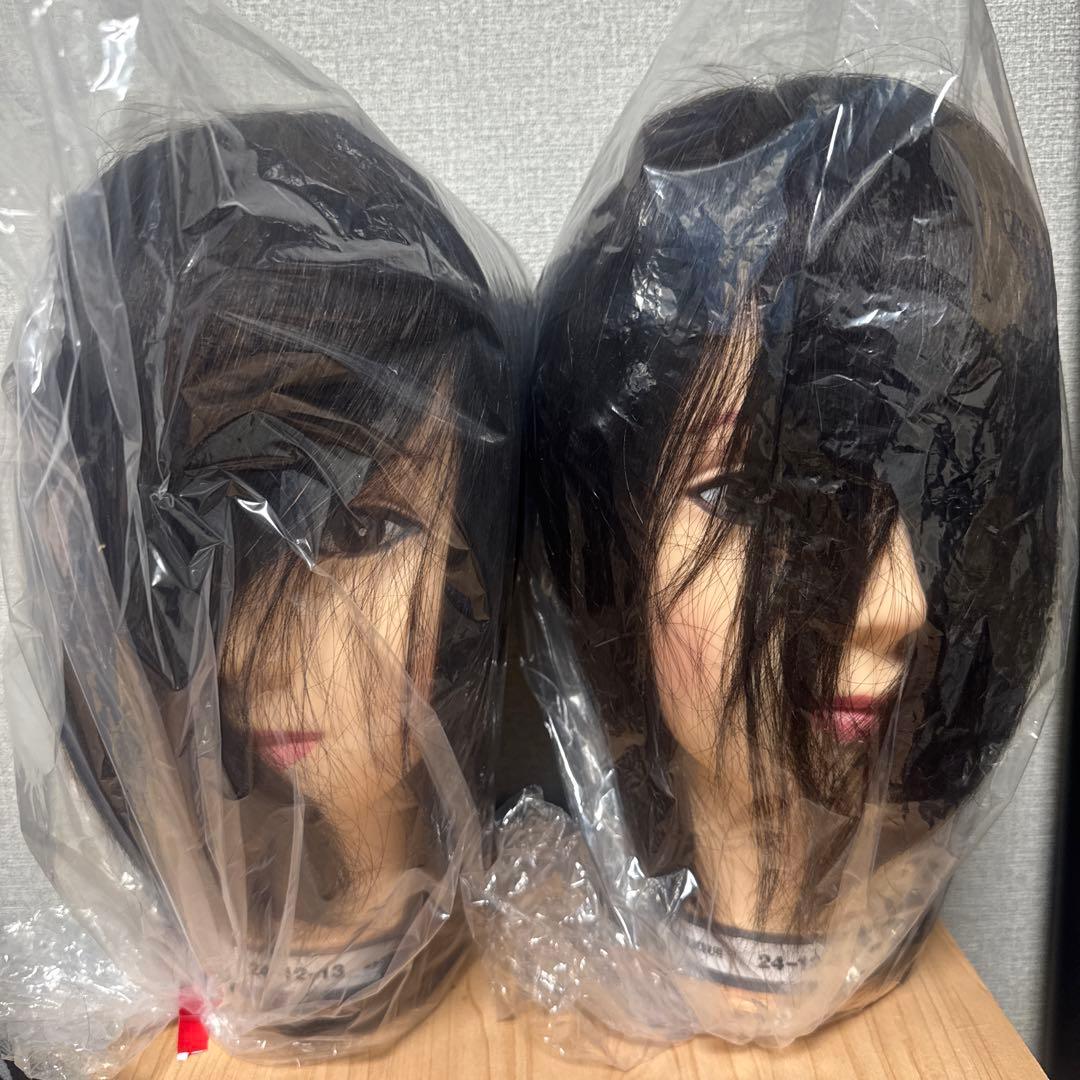 国家試験用　カットウィッグ