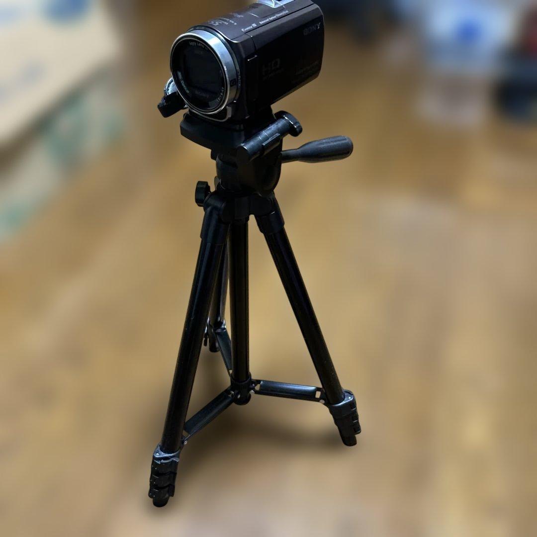 ソニーハンディカムHDR-CX430