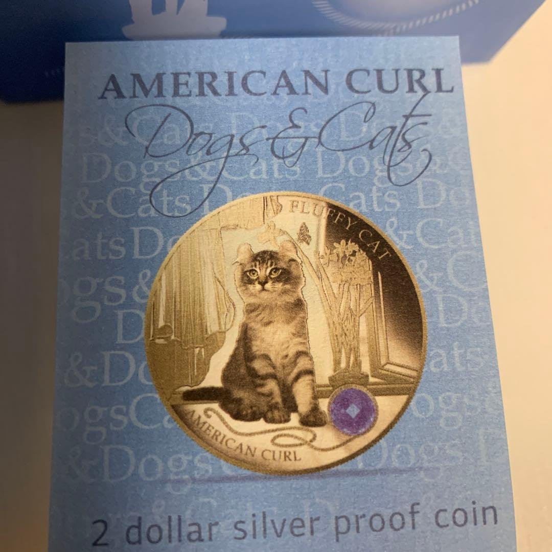 フィジー銀貨　アメリカンカール