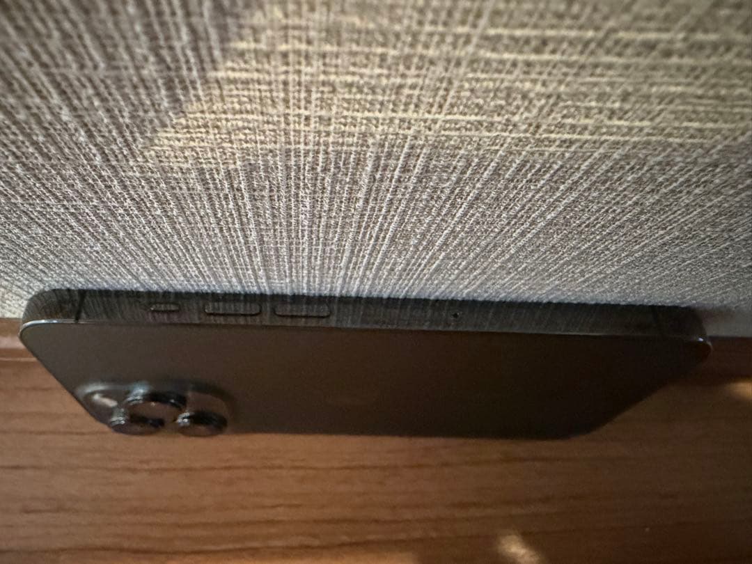 Apple iPhone 13 Pro 海外SIMフリー+おまけ保護画面フィルム