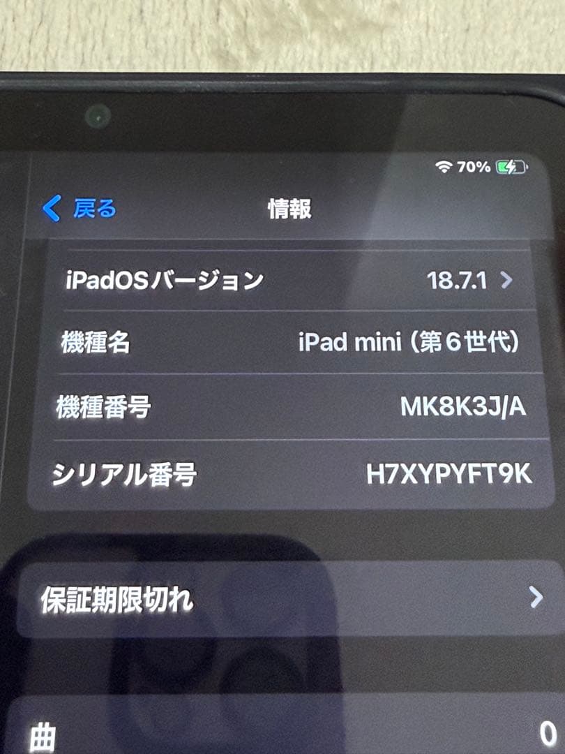 Apple iPad mini6 256GBセルラー
