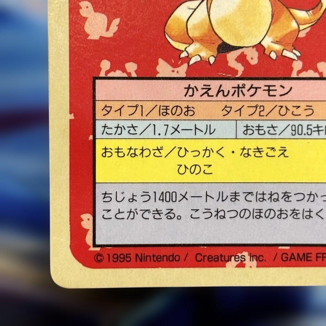 ポケモン トップサン リザードン 裏青