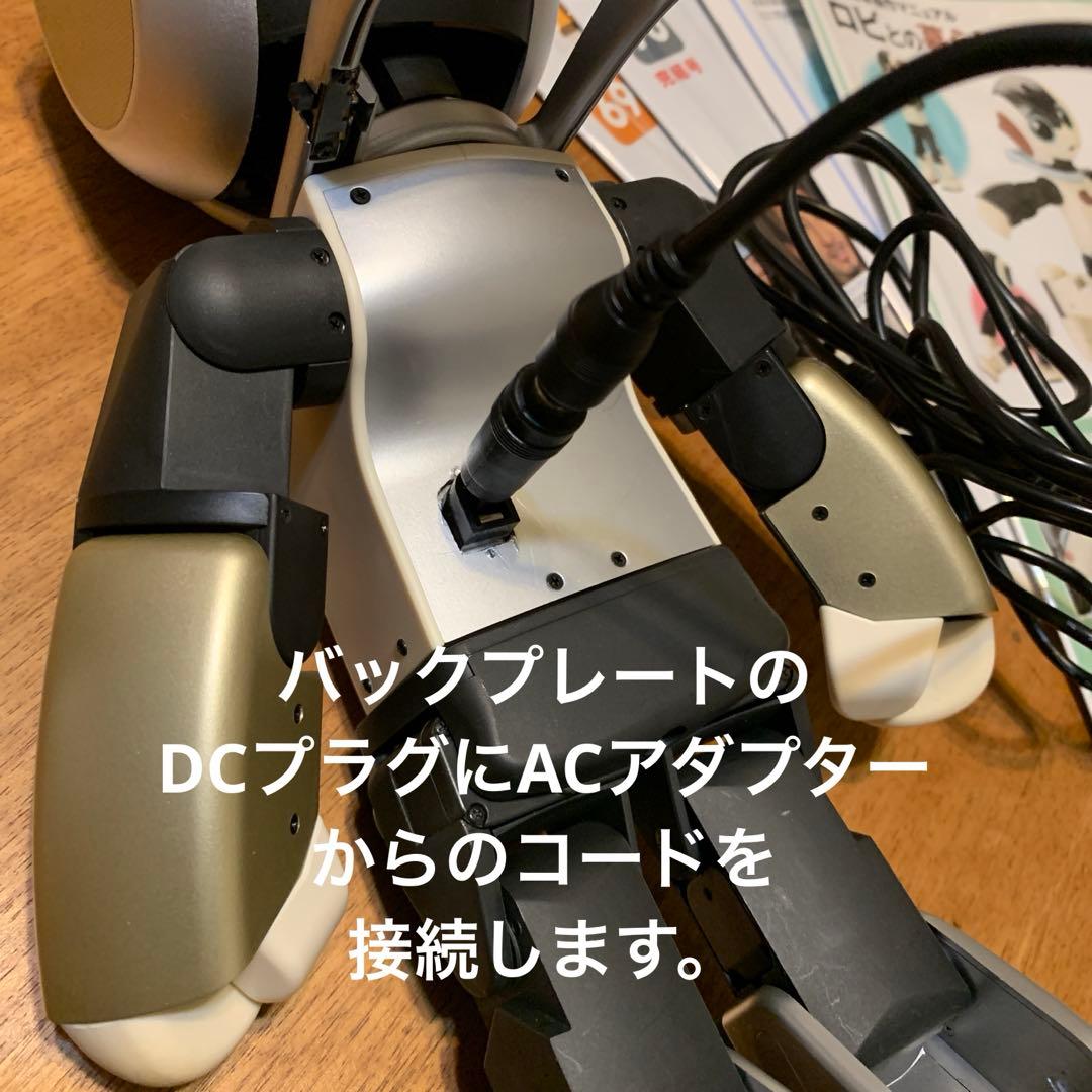 し*じ様 ロビ (ココロ2DX版)バッテリー不要、外部電源完動品　オーナー愛称登