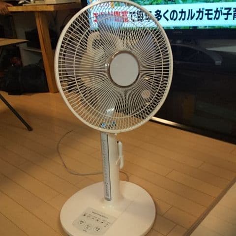 サーキュレーター リビング扇 リビングファン 扇風機